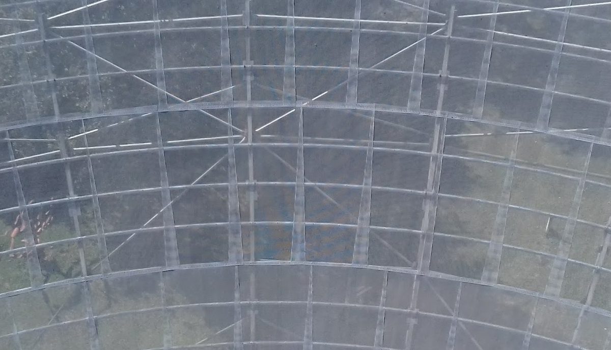 Video institucional del IAR